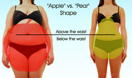 Weight Gain & Estrogen Dominance Weight Gain & Estrogen Dominance